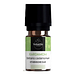 Volatile Kardamom (Elettaria Cardamomum) Druppels 5ML Flesje