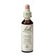Bach Flower Remedies Loodkruid 05 20ML Bach Flower Remedies Loodkruid 05 20ML