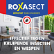 Roxasect Spuitbus Tegen Kruipende Insecten En Wespen 400ML Roxasect Spuitbus Tegen Kruipende Insecten En Wespen 400ML