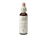 Bach Flower Remedies Ruwe Dravik 36 20ML