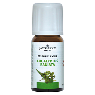 Jacob Hooy Essentiële Olie Eucalyptus Radiata 10ML