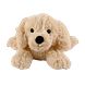 Warmies Golden Retriever 1ST knuffelhondje