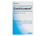 Heel Gastricumeel Tabletten 250TB