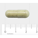 Orthica Orthiflor Sept Vegacapsules 60VCP Afmeting capsule Orthica Orthiflor Sept Vegacapsules 60VCP Afmeting capsule