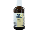 GO Gemmo Oplossingen Ficus Carica Bio Tinctuur 100ML