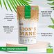 Purasana Lion's Mane Poeder 100GR Purasana Lion's Mane Poeder 100GR