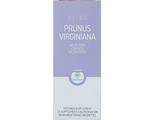 RP Vitamino Analytic Oligoplant Prunus Druppels 120ML RP Vitamino Analytic Oligoplant Prunus Druppels 120ML