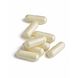 Biotics ResveraSirt-HP Capsules 30CP