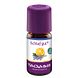 Taoasis Schlaf Gut Geurbio 5ML