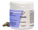 Holisan Punar Capsules 95CP