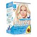 Garnier Nutrisse Ultra Blonde Permanente Ontkleuring D+++ 1ST