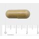 AOV 822 Propolis Extract 600mg Vegacaps 60VCP Afmeting capsule
