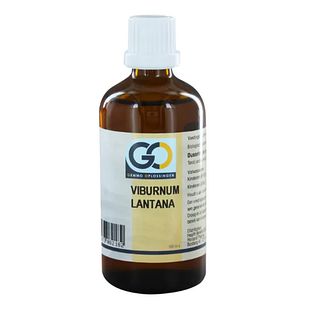 GO Gemmo Oplossingen Viburnum Lantana Druppels 100ML GO Gemmo Oplossingen Viburnum Lantana Druppels 100ML