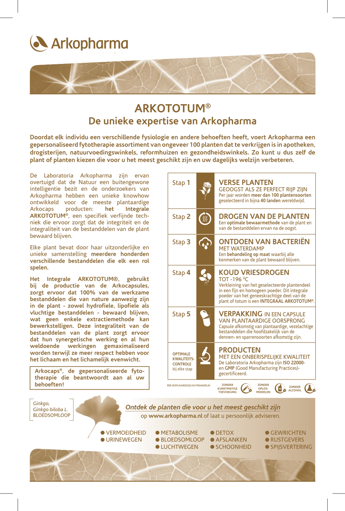 Groene Thee Capsules afbeelding van document #2, instructions