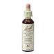 Bach Flower Remedies Kastanjeknop 07 20ML Bach Flower Remedies Kastanjeknop 07 20ML