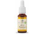 Lemon Pharma Bach NO.29 Star Of Bethlehem 20ML