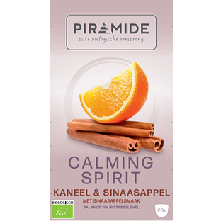 Piramide Calming Spirit Kaneel & Sinaasappel Thee 20ZK