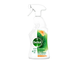 Dettol Allesreiniger Spray Mandarijn & Citroenbloesem 500ML Dettol Allesreiniger Spray Mandarijn & Citroenbloesem 500ML
