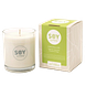 Soylites Soycandle Energise - Peppermint, Spearmint, Geranium & Ginger 70ML Energise Geurkaars met verpakking