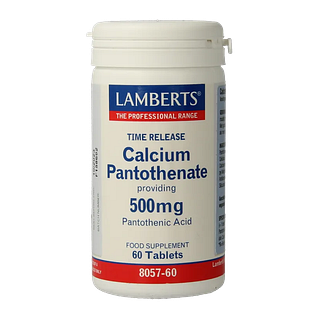 Lamberts Calcium Pantothenaat  500 mg Time Release Tabletten 60TB