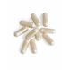 Biotics Saccharomyces Boulardi Capsules 60CP