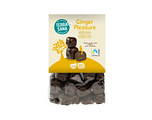 TerraSana Ginger Pleasure Choco Bio 150GR