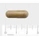 AOV 813 Ginkgo Biloba Extract Vegacaps 60VCP Afmeting tablet
