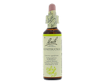Bach Flower Remedies Kamperfoelie 16 20ML Bach Flower Remedies Kamperfoelie 16 20ML