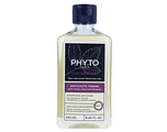 Phyto Phytocyane Invigorating Shampoo 250ML