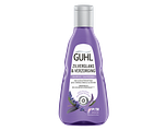 Guhl Zilverglans & Verzorging Shampoo 250ML