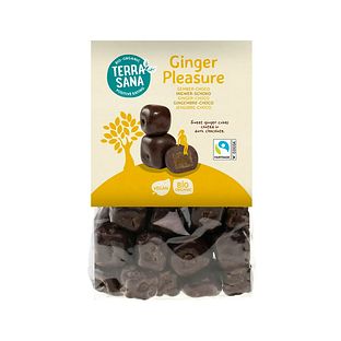 TerraSana Ginger Pleasure Choco Bio 150GR