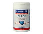 Lamberts Pulse Visolie + Q10 Capsules 90CP Lamberts Pulse Visolie + Q10 Capsules 90CP