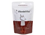 WandelWol Antidruk-Alpacawol 0% Lanoline 20GR WandelWol Antidruk-Alpacawol 0% Lanoline 20GR