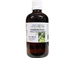 Natura Sanat Angelica Officinalis/Engelwortel 100ML
