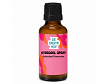 De Cruydhof Cruydhof Colloïdaal Zilverwater/Hydrosol Spray 100ML