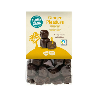 TerraSana Ginger Pleasure Choco Bio 150GR TerraSana Ginger Pleasure Choco Bio 150GR
