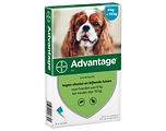 Advantage Hond 100 4ST