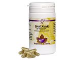 Holisan Shatavari Capsules 60CP