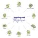 Vitakruid Magnesium 150 Malaat met Vitamine B6 (P-5-P) 90TB