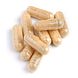 Biotics Protect Plus Capsules 90CP Biotics Protect Plus Capsules 90CP
