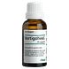 Heel Vertigoheel H 30ML Heel Vertigoheel H 30ML
