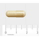 AOV 837 Moederkruid Capsules 60VCP formaat capsule