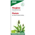 Salus Weegbreesap 200ML Salus Weegbreesap 200ML