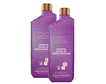 Bruynzeel Cosmetic Homecare Groene Aanslagverwijderaar Power Formule 2x1LT Bruynzeel Cosmetic Homecare Groene Aanslagverwijderaar Power Formule 2x1LT