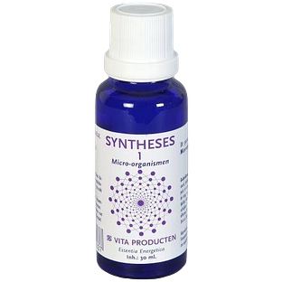 Vita Producten Vita Syntheses 1 Micro Organismen 30ML