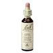 Bach Flower Remedies Aspen/Ratelpopulier 02 20ML