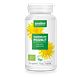 Purasana Paardenbloem Vegacaps 90CP Purasana Paardenbloem Vegacaps 90CP