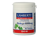 Lamberts Ginkgo 6000mg Time Release Tabletten 60TB