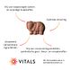 Vitals Elke Dag Junior Kauwtabletten 30TB Vitals Elke Dag Junior Kauwtabletten 30TB