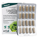 Activo Ginkgo Plus Capsules 60CP Verpakking met capsule strip ernaast